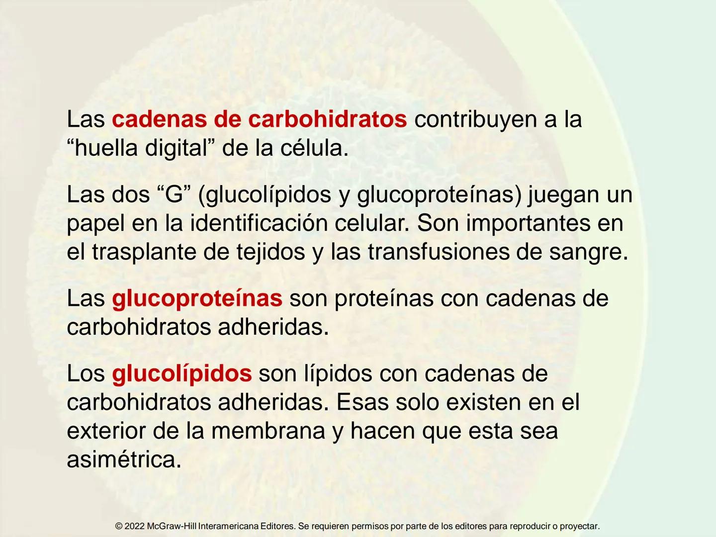 5
Estructura y función
de la membrana
5.1 Estructura y función de la
membrana plasmática
5.2 Transporte pasivo a través de la
membrana
5.3