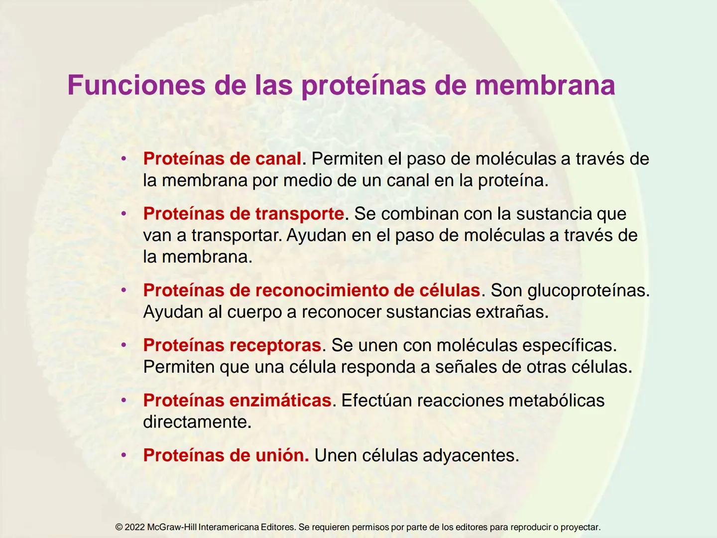 5
Estructura y función
de la membrana
5.1 Estructura y función de la
membrana plasmática
5.2 Transporte pasivo a través de la
membrana
5.3