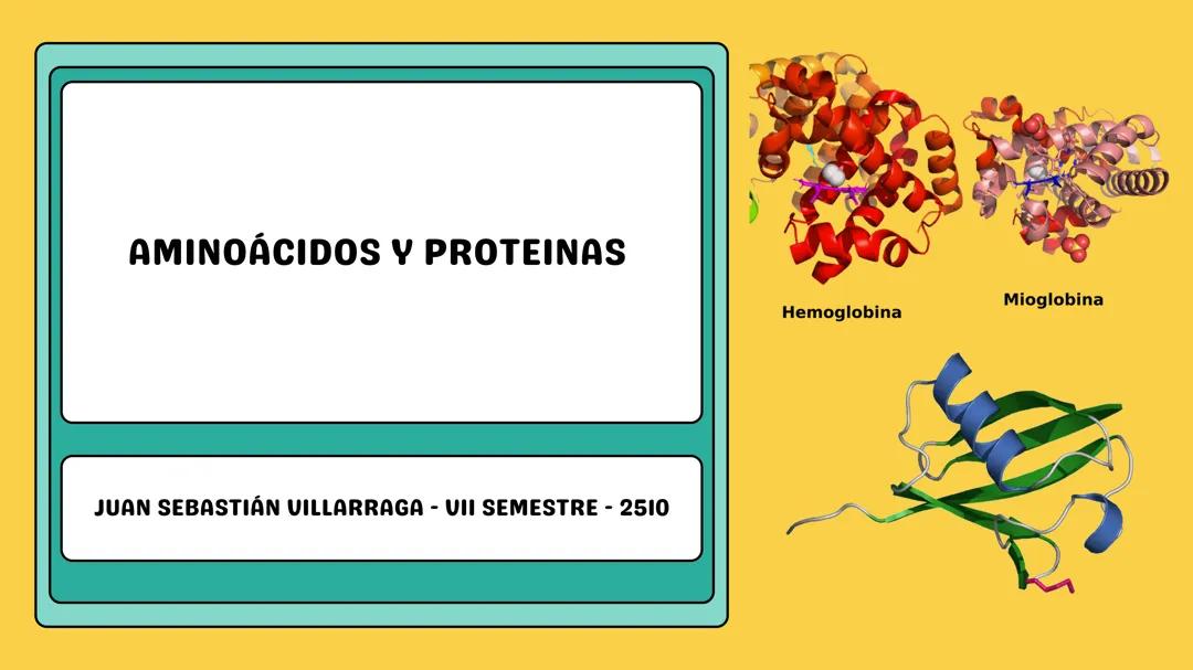 Aminoácidos y proteínas