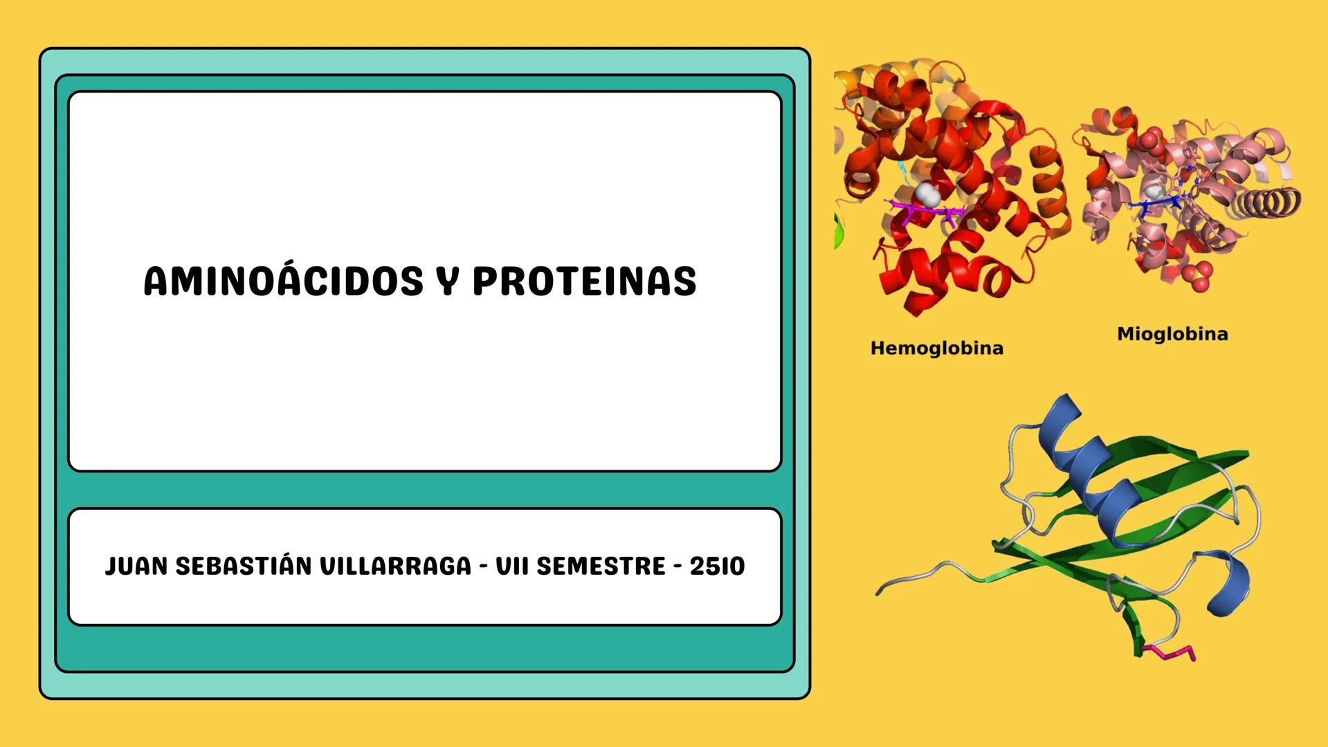 # AMINOÁCIDOS Y PROTEINAS
JUAN SEBASTIÁN VILLARRAGA - VII SEMESTRE - 2510
Hemoglobina
Mioglobina DE AMINOÁCIDOS A PROTEINAS # PROCESO DE