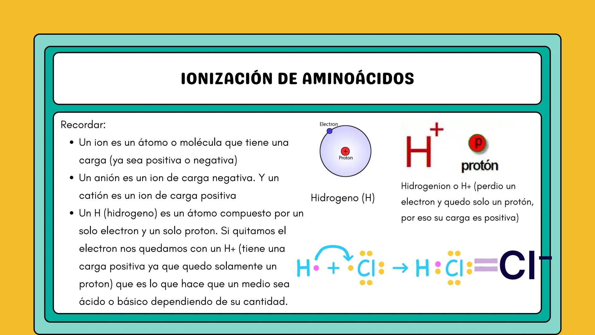 # AMINOÁCIDOS Y PROTEINAS
JUAN SEBASTIÁN VILLARRAGA - VII SEMESTRE - 2510
Hemoglobina
Mioglobina DE AMINOÁCIDOS A PROTEINAS # PROCESO DE