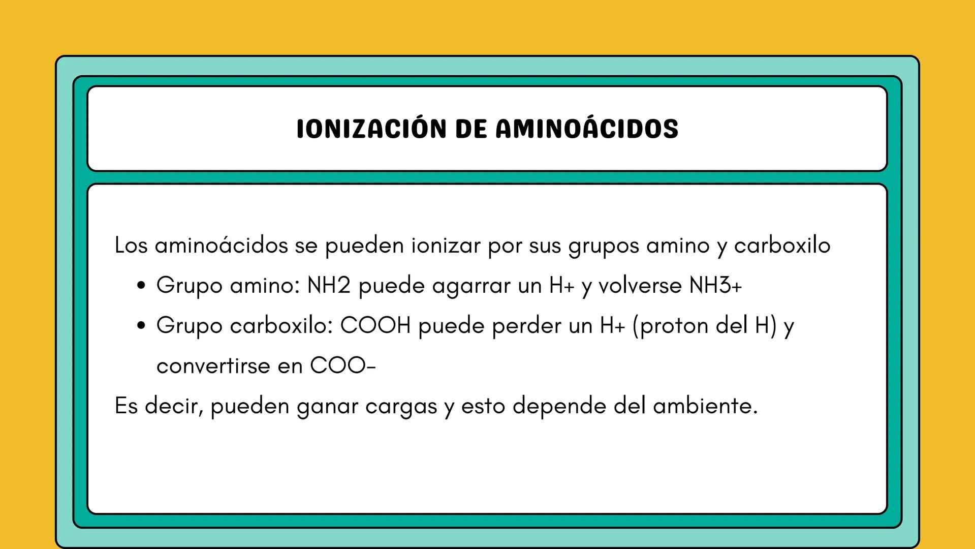 # AMINOÁCIDOS Y PROTEINAS
JUAN SEBASTIÁN VILLARRAGA - VII SEMESTRE - 2510
Hemoglobina
Mioglobina DE AMINOÁCIDOS A PROTEINAS # PROCESO DE
