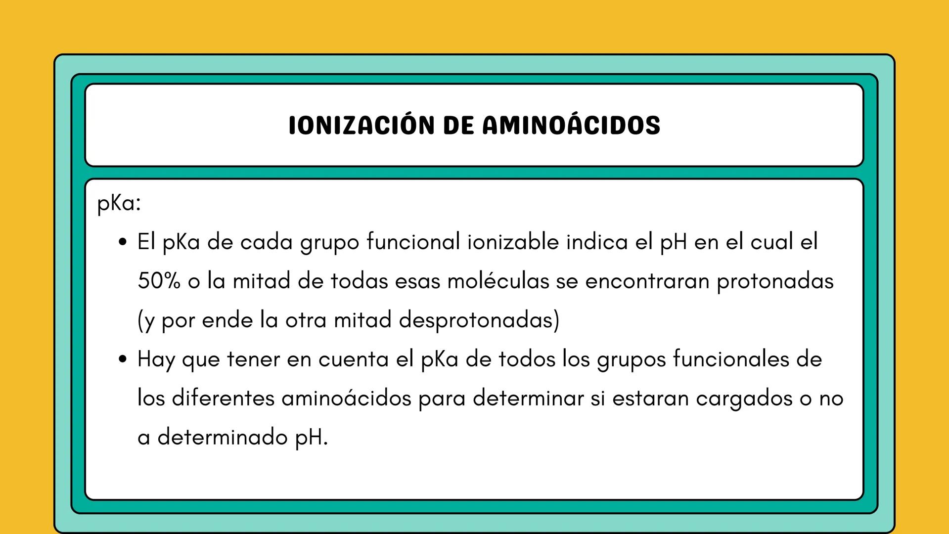 # AMINOÁCIDOS Y PROTEINAS
JUAN SEBASTIÁN VILLARRAGA - VII SEMESTRE - 2510
Hemoglobina
Mioglobina DE AMINOÁCIDOS A PROTEINAS # PROCESO DE