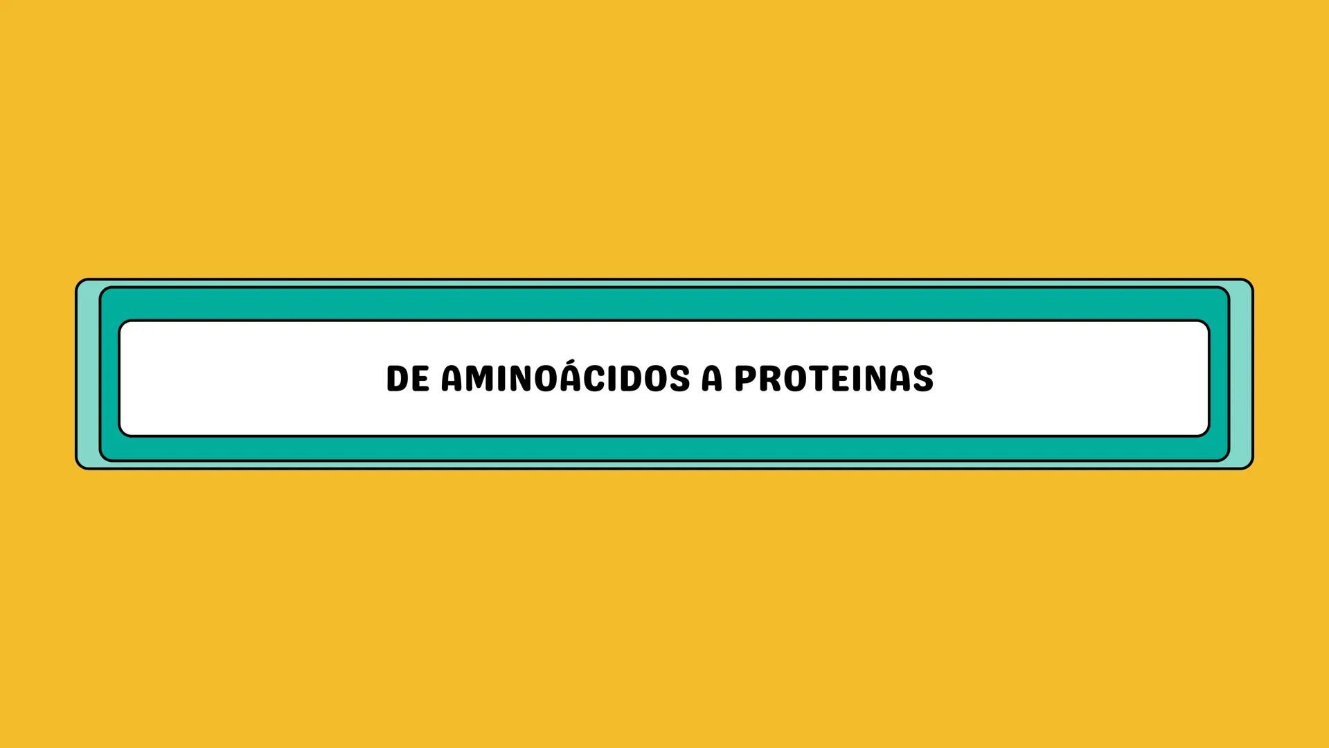 # AMINOÁCIDOS Y PROTEINAS
JUAN SEBASTIÁN VILLARRAGA - VII SEMESTRE - 2510
Hemoglobina
Mioglobina DE AMINOÁCIDOS A PROTEINAS # PROCESO DE