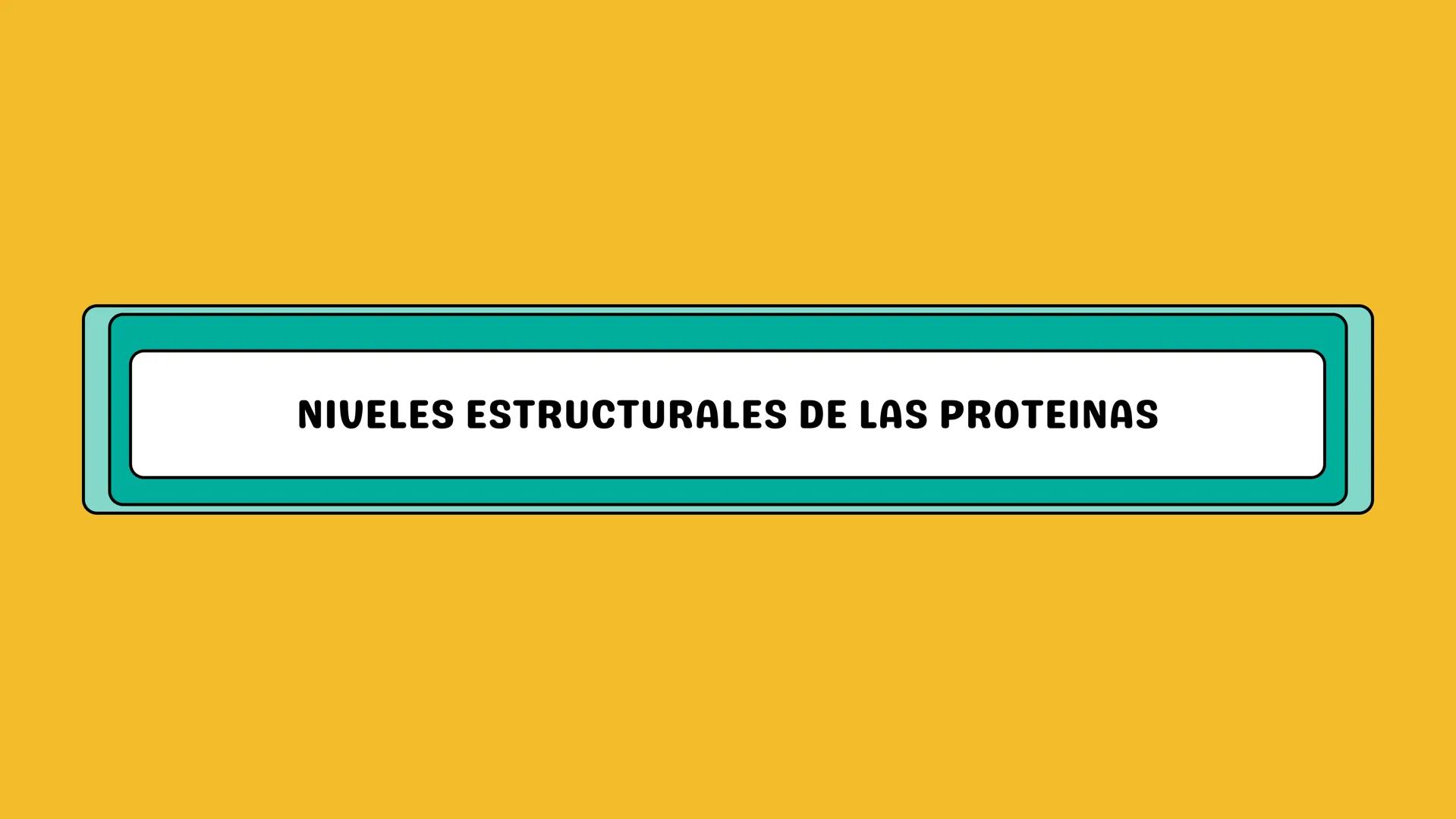 # AMINOÁCIDOS Y PROTEINAS
JUAN SEBASTIÁN VILLARRAGA - VII SEMESTRE - 2510
Hemoglobina
Mioglobina DE AMINOÁCIDOS A PROTEINAS # PROCESO DE