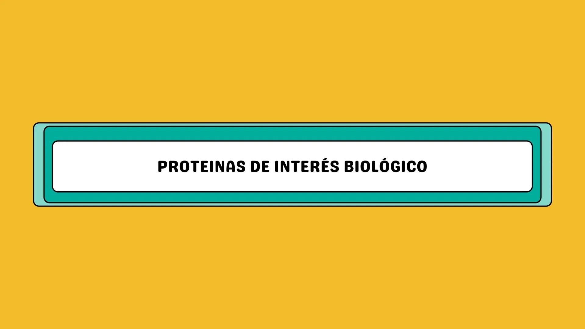 # AMINOÁCIDOS Y PROTEINAS
JUAN SEBASTIÁN VILLARRAGA - VII SEMESTRE - 2510
Hemoglobina
Mioglobina DE AMINOÁCIDOS A PROTEINAS # PROCESO DE