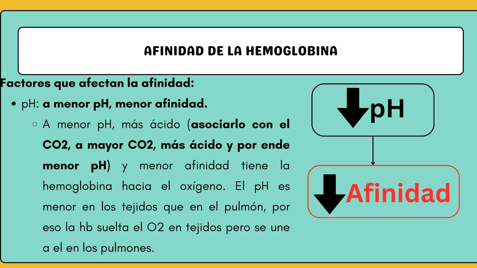 # AMINOÁCIDOS Y PROTEINAS
JUAN SEBASTIÁN VILLARRAGA - VII SEMESTRE - 2510
Hemoglobina
Mioglobina DE AMINOÁCIDOS A PROTEINAS # PROCESO DE