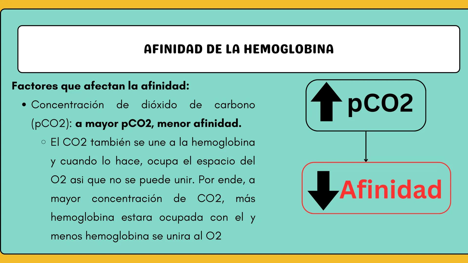 # AMINOÁCIDOS Y PROTEINAS
JUAN SEBASTIÁN VILLARRAGA - VII SEMESTRE - 2510
Hemoglobina
Mioglobina DE AMINOÁCIDOS A PROTEINAS # PROCESO DE