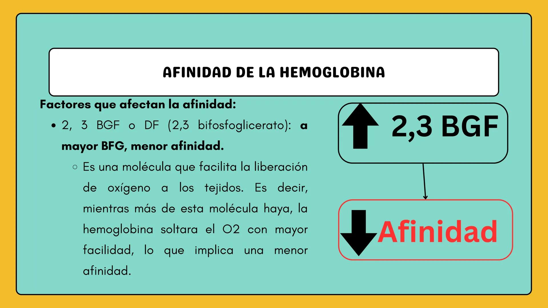 # AMINOÁCIDOS Y PROTEINAS
JUAN SEBASTIÁN VILLARRAGA - VII SEMESTRE - 2510
Hemoglobina
Mioglobina DE AMINOÁCIDOS A PROTEINAS # PROCESO DE