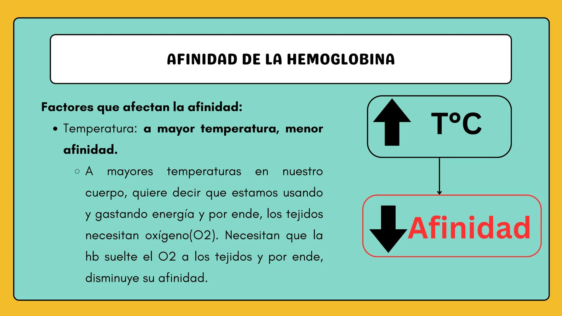 # AMINOÁCIDOS Y PROTEINAS
JUAN SEBASTIÁN VILLARRAGA - VII SEMESTRE - 2510
Hemoglobina
Mioglobina DE AMINOÁCIDOS A PROTEINAS # PROCESO DE