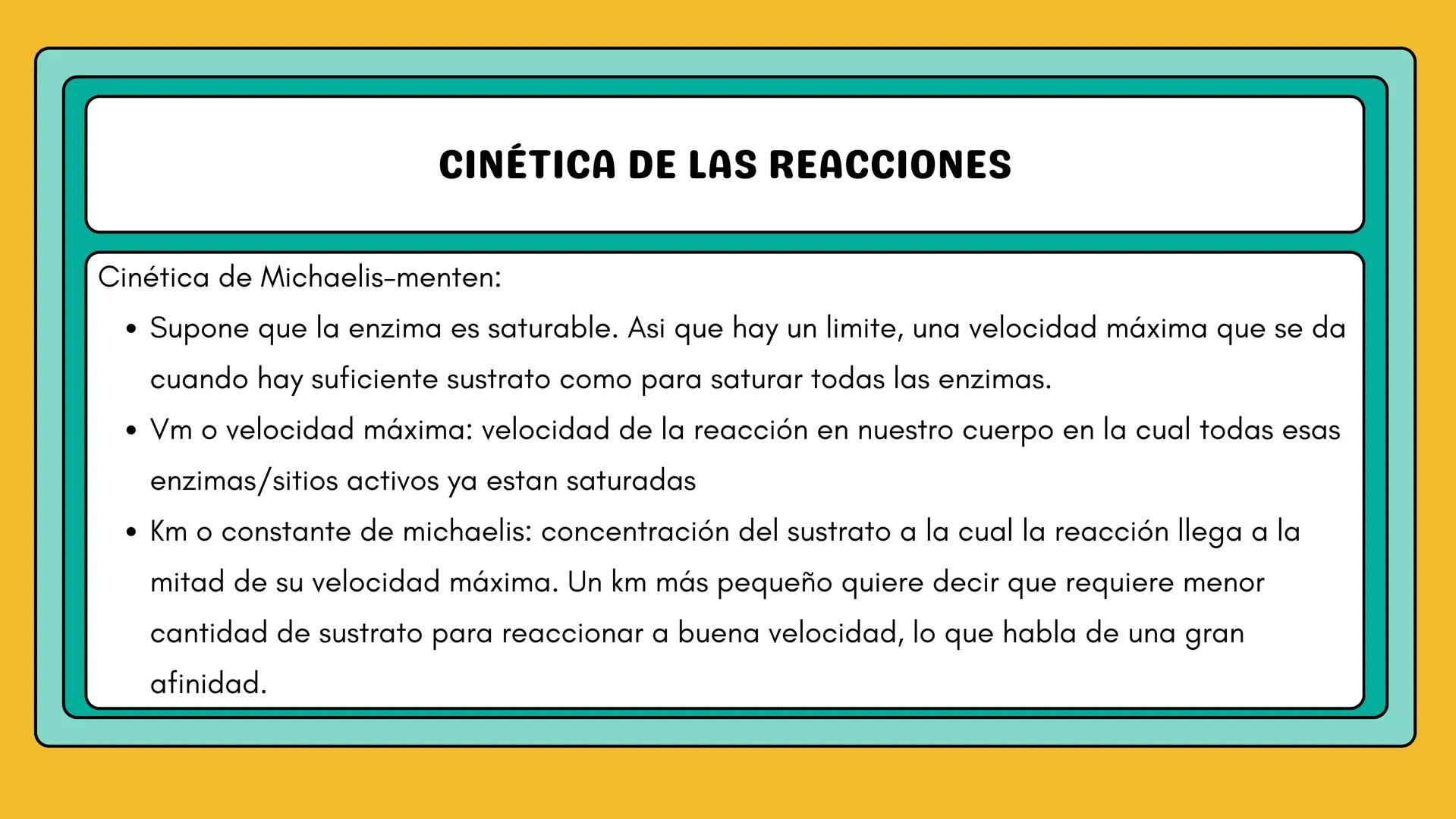 # AMINOÁCIDOS Y PROTEINAS
JUAN SEBASTIÁN VILLARRAGA - VII SEMESTRE - 2510
Hemoglobina
Mioglobina DE AMINOÁCIDOS A PROTEINAS # PROCESO DE