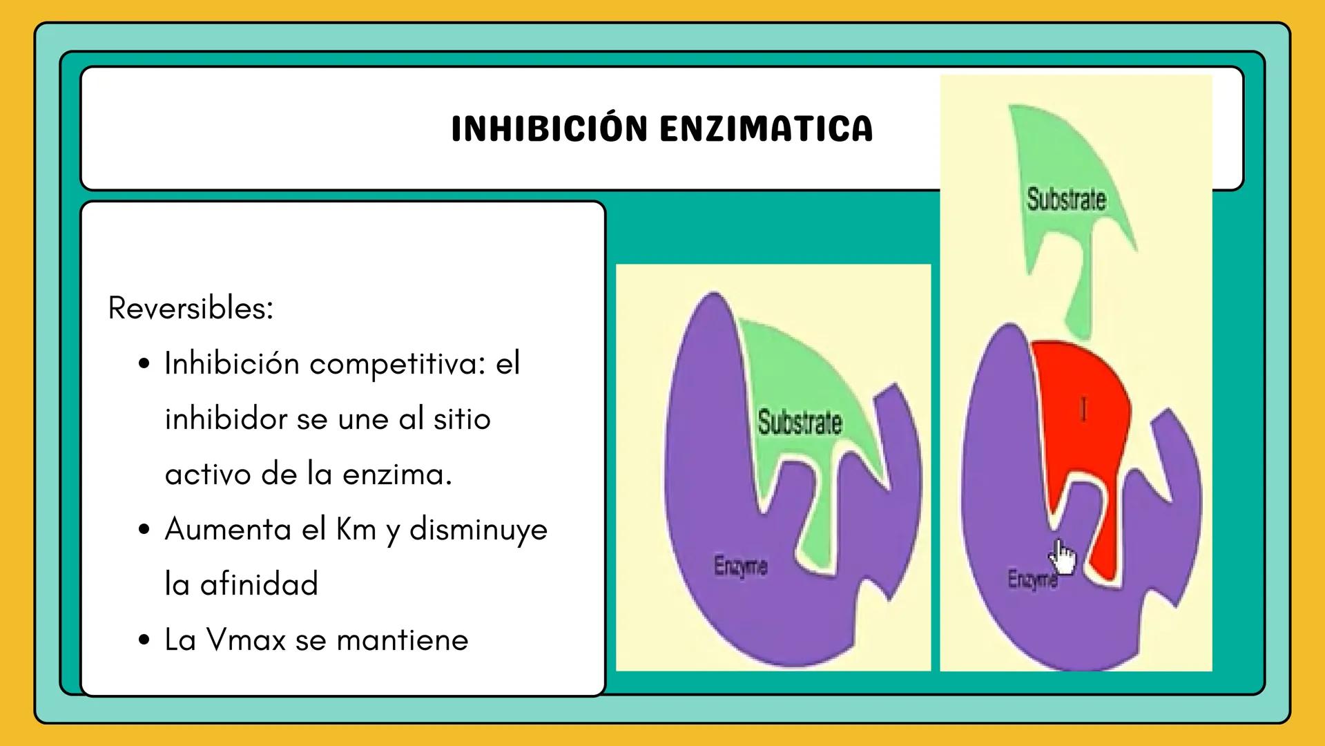 # AMINOÁCIDOS Y PROTEINAS
JUAN SEBASTIÁN VILLARRAGA - VII SEMESTRE - 2510
Hemoglobina
Mioglobina DE AMINOÁCIDOS A PROTEINAS # PROCESO DE