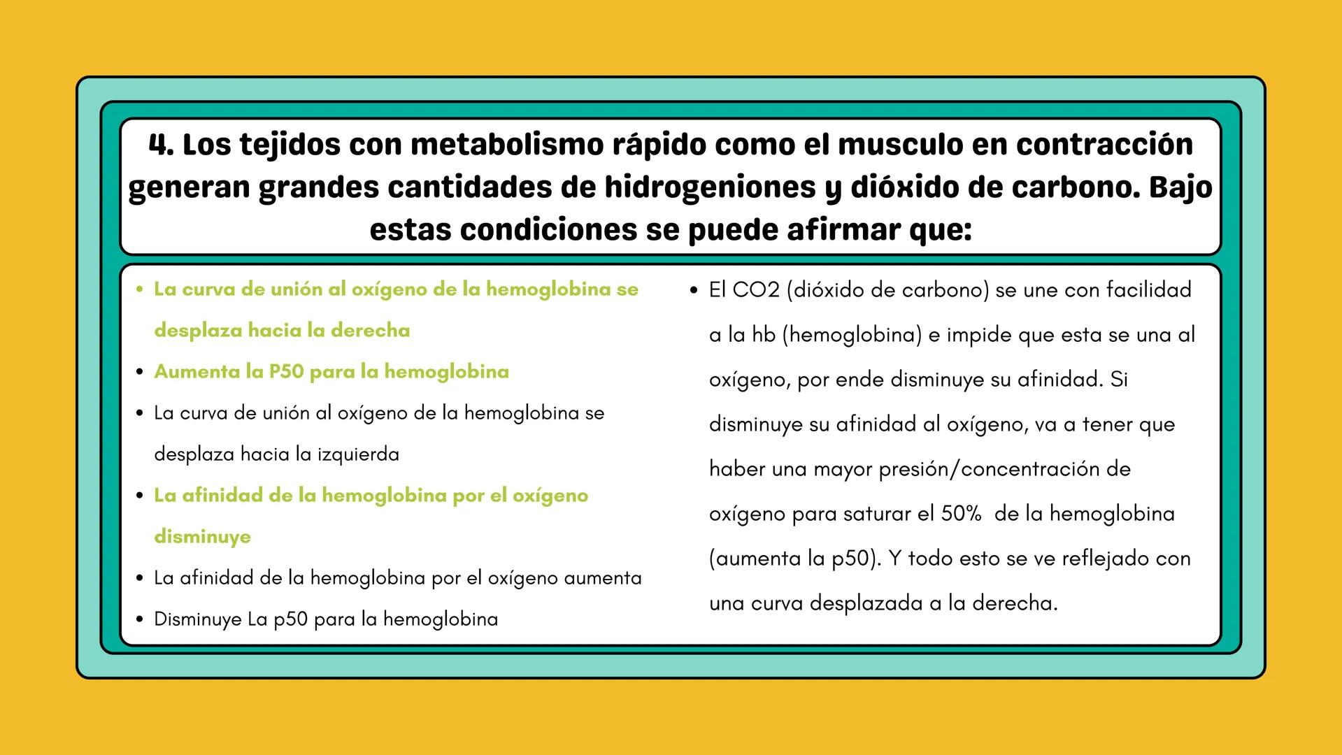 # AMINOÁCIDOS Y PROTEINAS
JUAN SEBASTIÁN VILLARRAGA - VII SEMESTRE - 2510
Hemoglobina
Mioglobina DE AMINOÁCIDOS A PROTEINAS # PROCESO DE