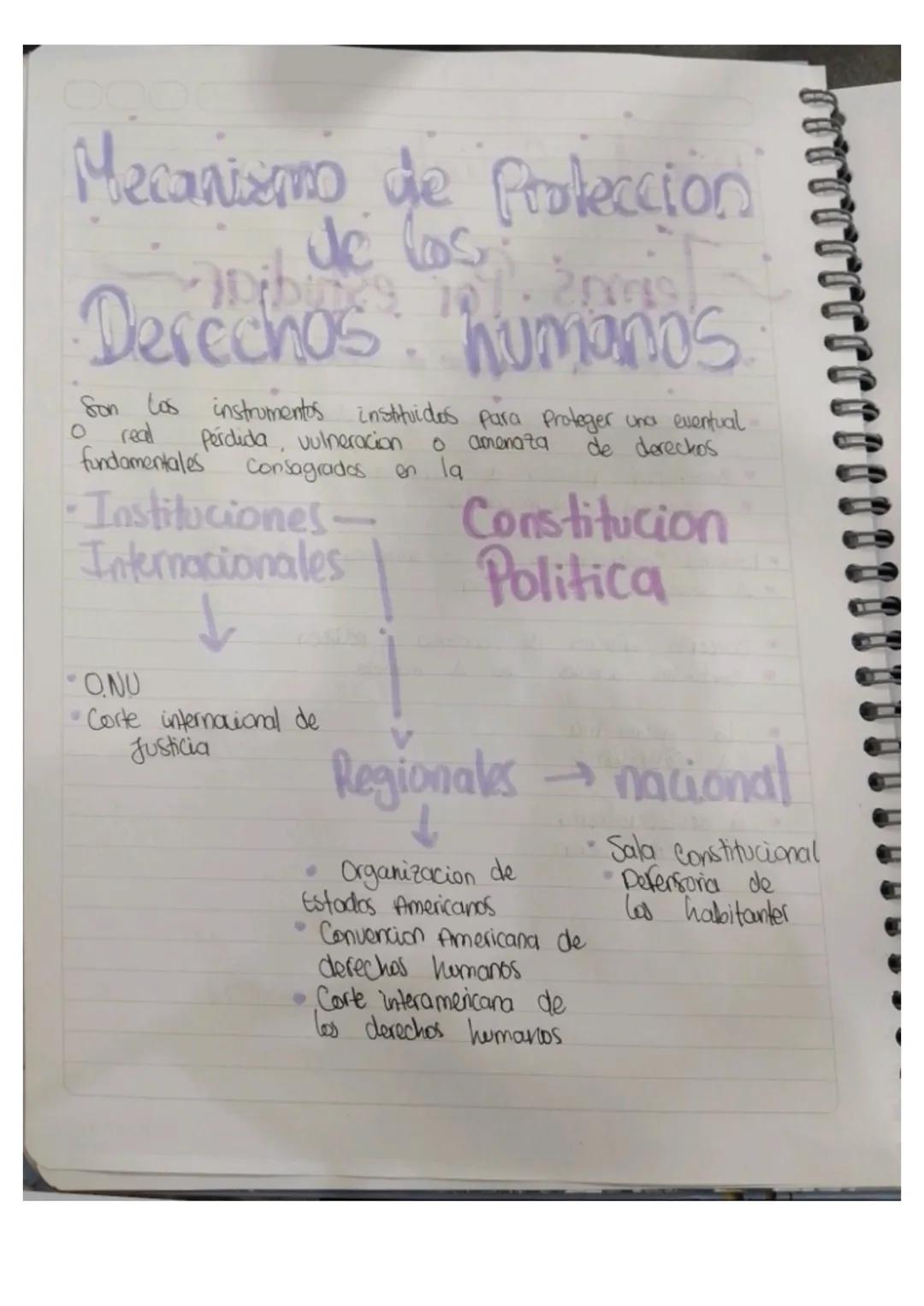 Mecanismo de Proteccion
de los
Derechos humanos
Son los instrumentos instituidos para proteger una eventual
0 real Pérdida, vulneracion o a
