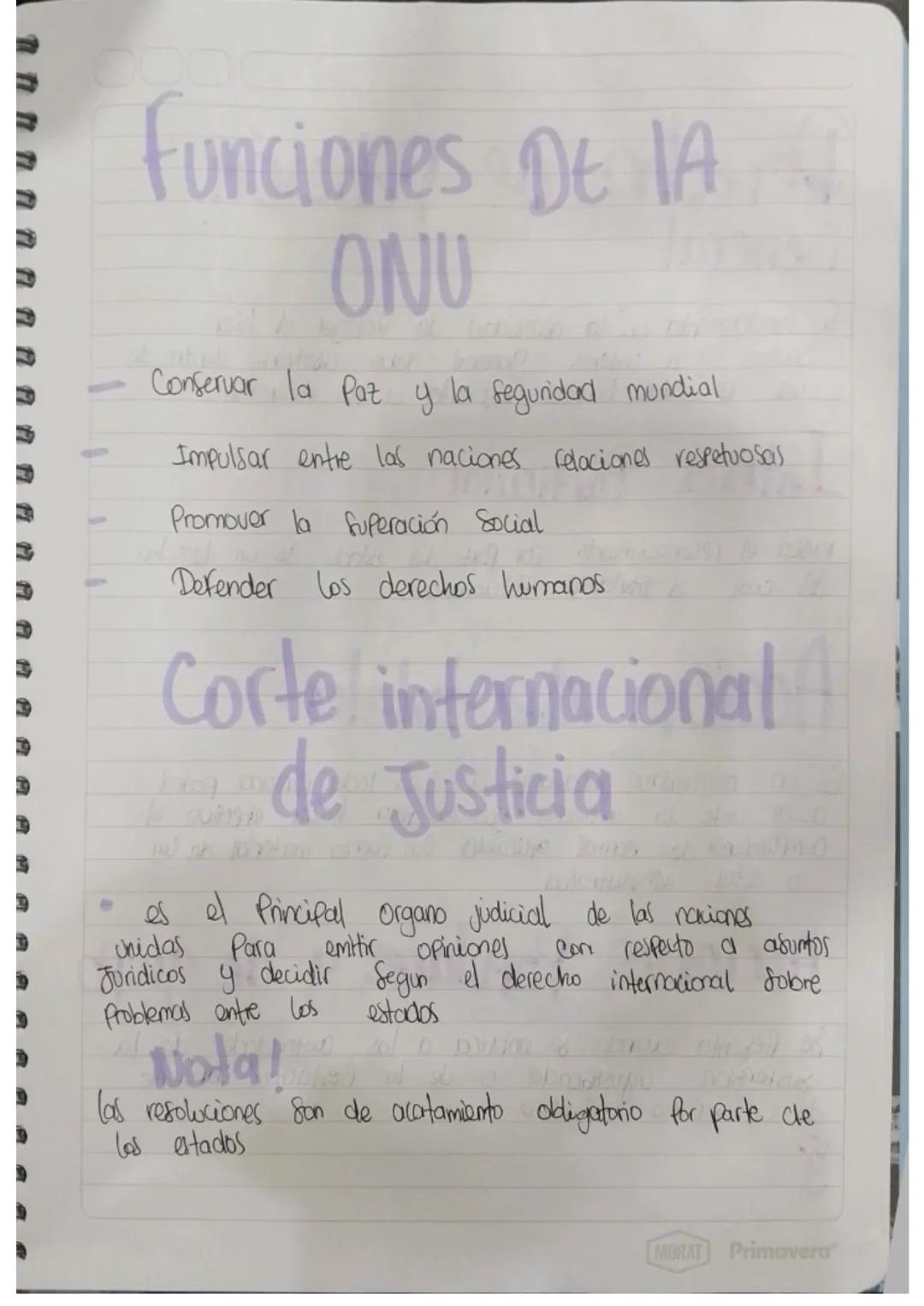 Mecanismo de Proteccion
de los
Derechos humanos
Son los instrumentos instituidos para proteger una eventual
0 real Pérdida, vulneracion o a