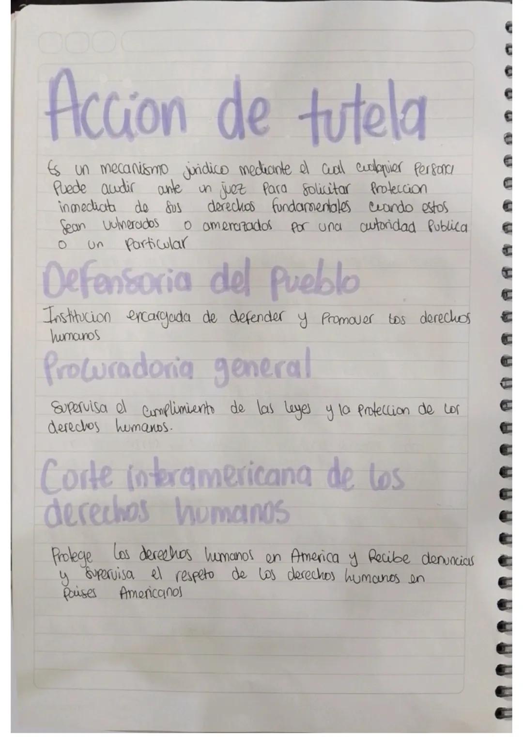 Mecanismo de Proteccion
de los
Derechos humanos
Son los instrumentos instituidos para proteger una eventual
0 real Pérdida, vulneracion o a