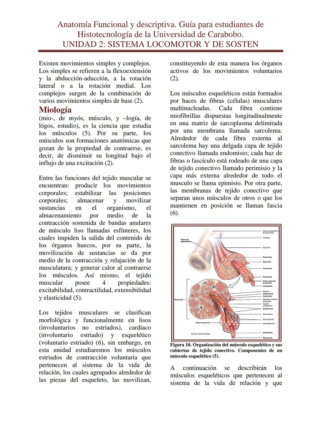 --- OCR Start ---
Anatomía Funcional y descriptiva. Guía para estudiantes de
Histotecnología de la Universidad de Carabobo.
UNIDAD 2: SISTEM