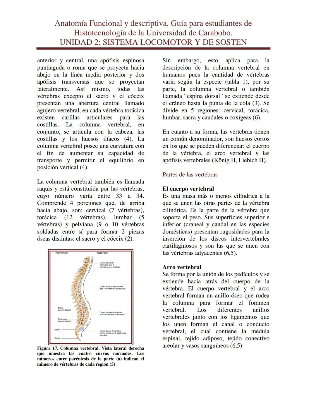 --- OCR Start ---
Anatomía Funcional y descriptiva. Guía para estudiantes de
Histotecnología de la Universidad de Carabobo.
UNIDAD 2: SISTEM