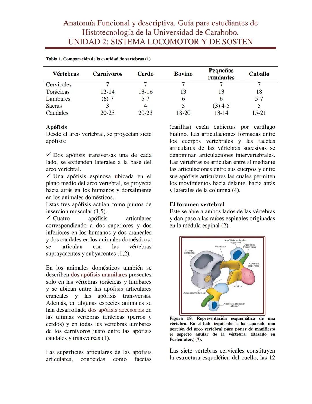 --- OCR Start ---
Anatomía Funcional y descriptiva. Guía para estudiantes de
Histotecnología de la Universidad de Carabobo.
UNIDAD 2: SISTEM