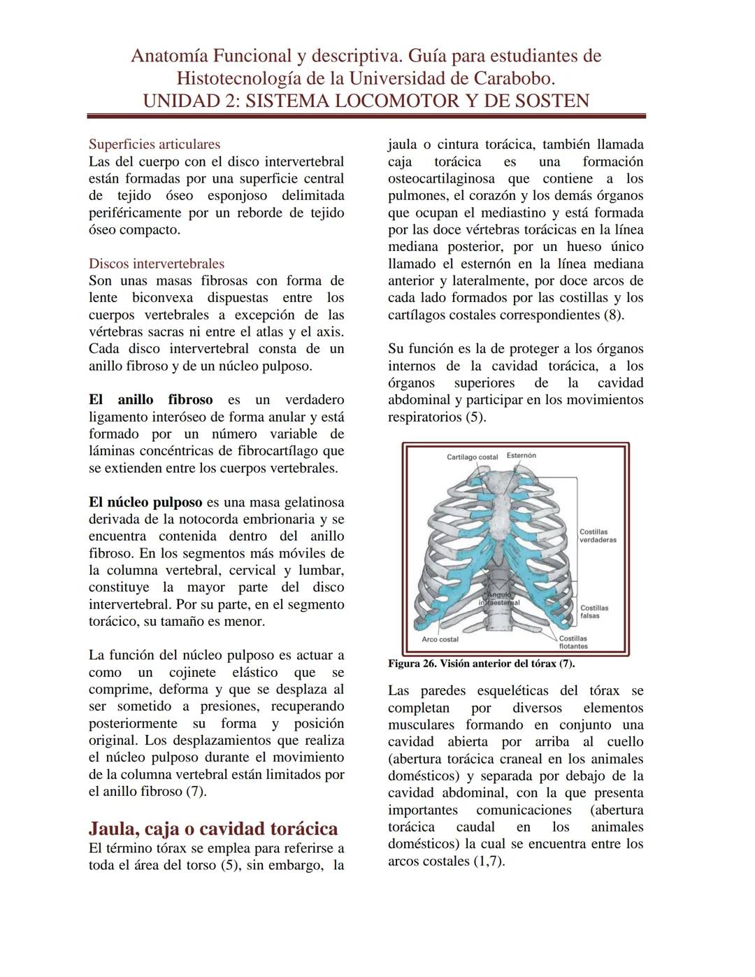 --- OCR Start ---
Anatomía Funcional y descriptiva. Guía para estudiantes de
Histotecnología de la Universidad de Carabobo.
UNIDAD 2: SISTEM