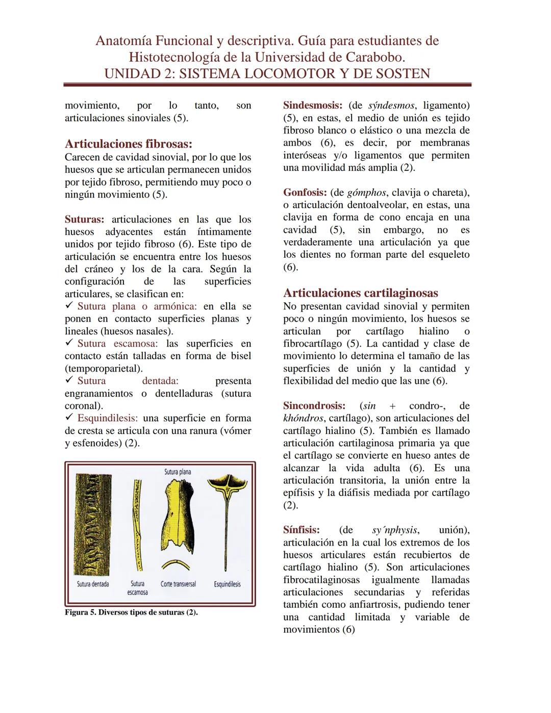 --- OCR Start ---
Anatomía Funcional y descriptiva. Guía para estudiantes de
Histotecnología de la Universidad de Carabobo.
UNIDAD 2: SISTEM