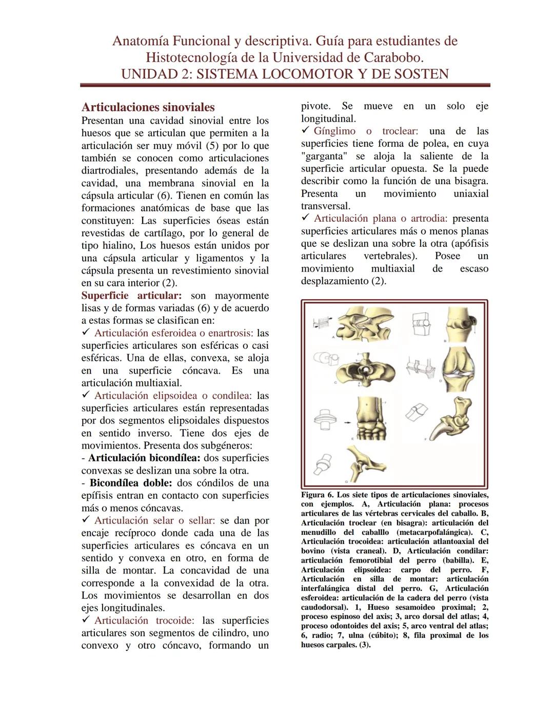 --- OCR Start ---
Anatomía Funcional y descriptiva. Guía para estudiantes de
Histotecnología de la Universidad de Carabobo.
UNIDAD 2: SISTEM