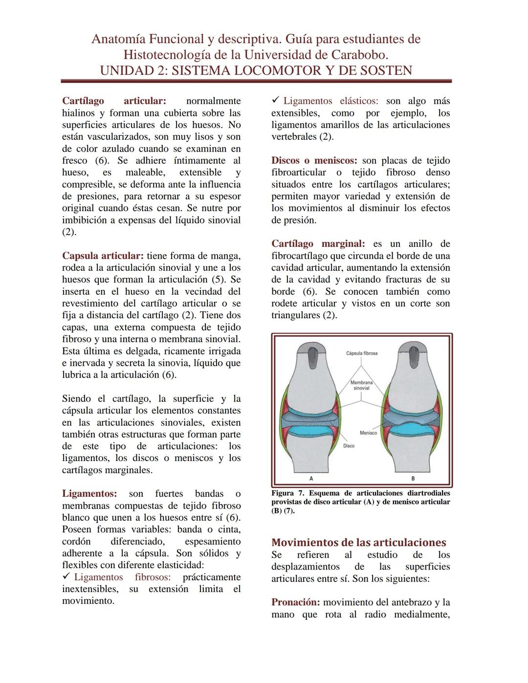 --- OCR Start ---
Anatomía Funcional y descriptiva. Guía para estudiantes de
Histotecnología de la Universidad de Carabobo.
UNIDAD 2: SISTEM