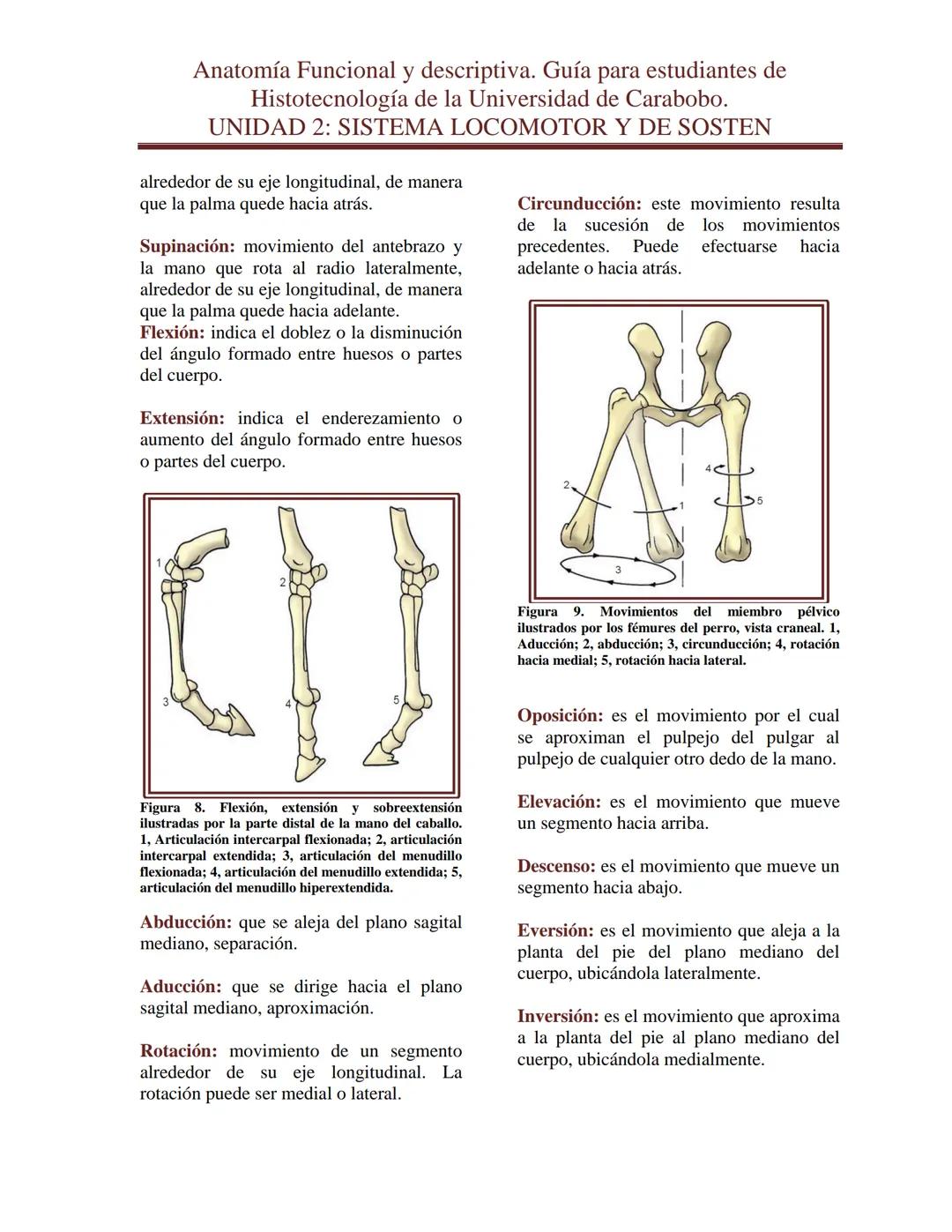 --- OCR Start ---
Anatomía Funcional y descriptiva. Guía para estudiantes de
Histotecnología de la Universidad de Carabobo.
UNIDAD 2: SISTEM