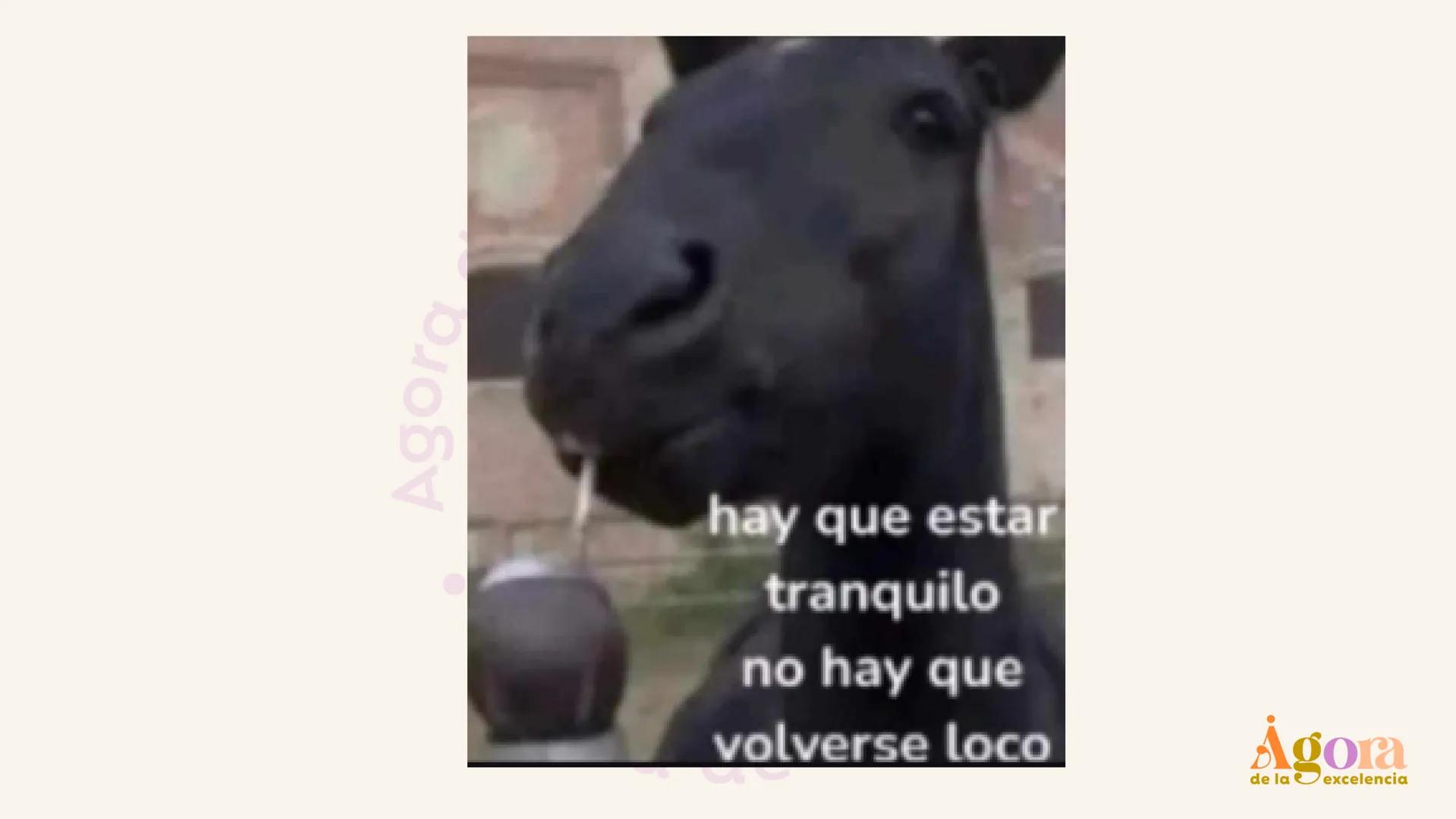 # ¿Cómo sacar 100 en lectura?
Andrés Enríquez
Clase 2.
Agora
de la excelencia # Primero lo importante
Ágora
de la excelencia hay que esta