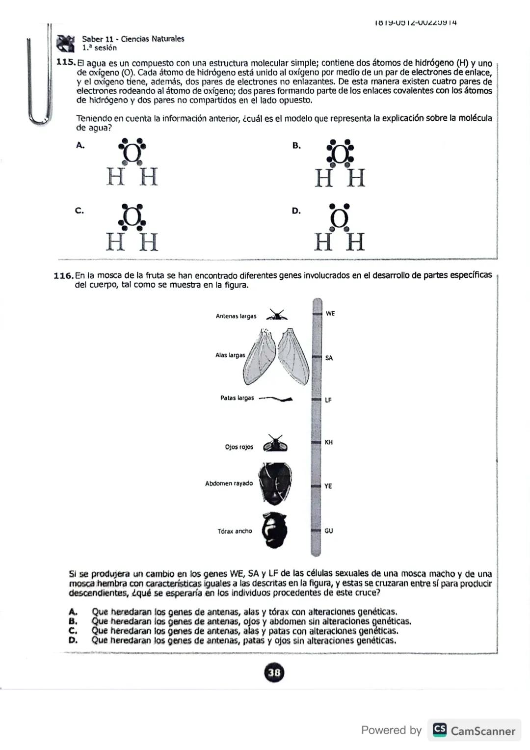 # 1819-0212-00225914
DCAC202411P00043379722
001606961
COLOMBIA
POTENCIA DE LA
VIDA
PRIMERA SESIÓN
1. Matemáticas 2. Lectura Crítica 3.