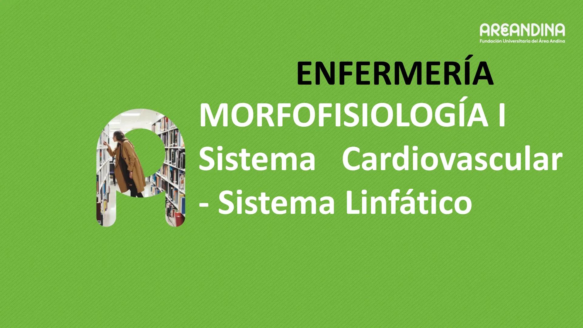 # ENFERMERÍA
# MORFOFISIOLOGÍA I
Sistema Cardiovascular
- Sistema Linfático
AREANDINA
Fundación Universitaria del Área Andina # VASOS SA