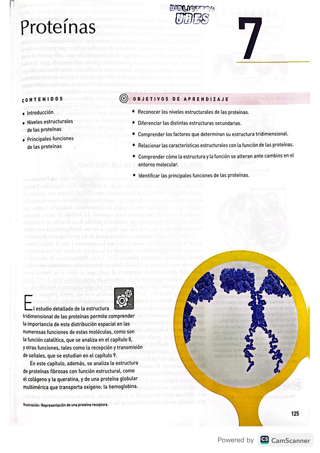 # BIBLIOTECA
UBES
# Proteínas
7
CONTENIDOS
* Introducción
* Niveles estructurales
de las proteínas
* Principales funciones
de las prot