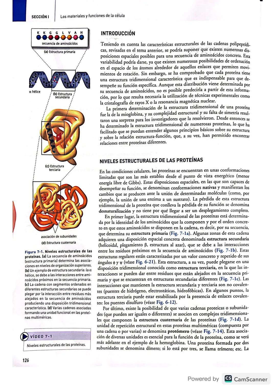 # BIBLIOTECA
UBES
# Proteínas
7
CONTENIDOS
* Introducción
* Niveles estructurales
de las proteínas
* Principales funciones
de las prot