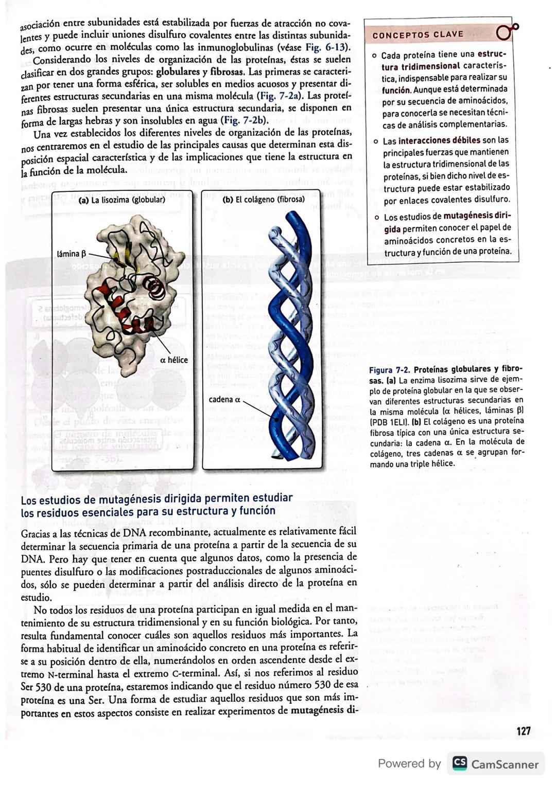 # BIBLIOTECA
UBES
# Proteínas
7
CONTENIDOS
* Introducción
* Niveles estructurales
de las proteínas
* Principales funciones
de las prot