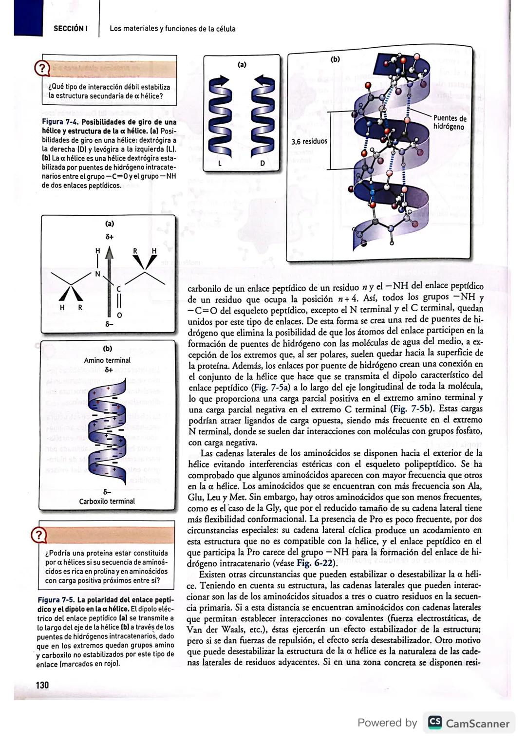 # BIBLIOTECA
UBES
# Proteínas
7
CONTENIDOS
* Introducción
* Niveles estructurales
de las proteínas
* Principales funciones
de las prot