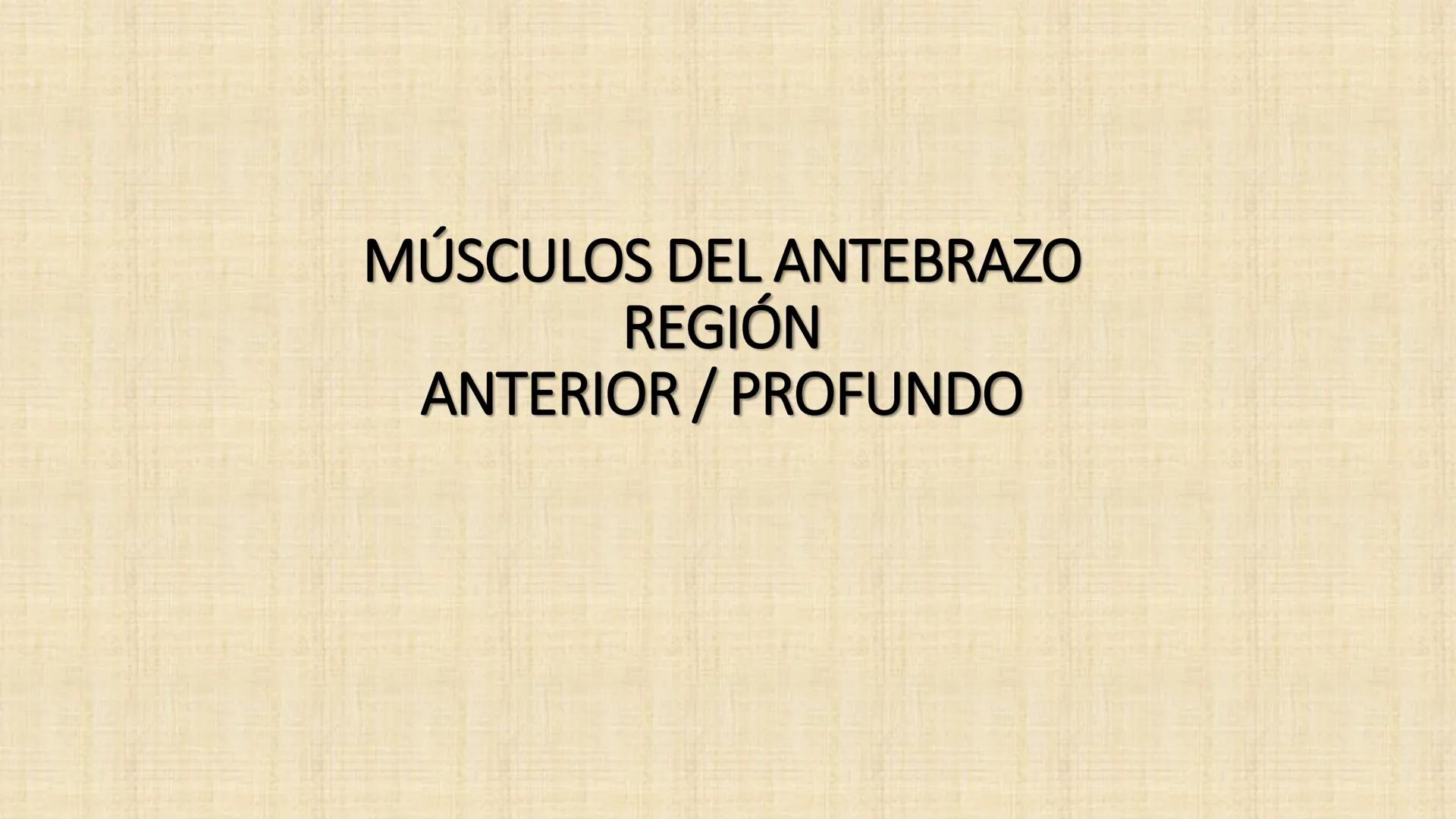 UCN
Universided Central de Nicaragua
Músculos
Miembro Superior
Antebrazo
Dr. Orsini Flores Monterrey
Ortopedia - Traumatología # OBJETIVOS