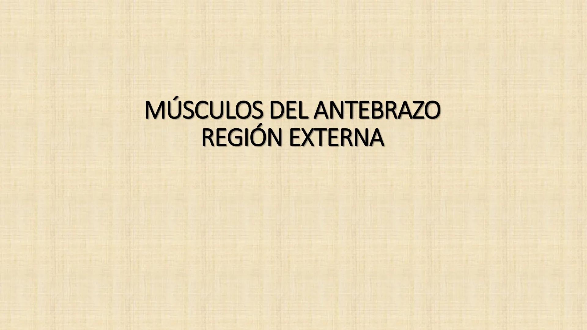 UCN
Universided Central de Nicaragua
Músculos
Miembro Superior
Antebrazo
Dr. Orsini Flores Monterrey
Ortopedia - Traumatología # OBJETIVOS