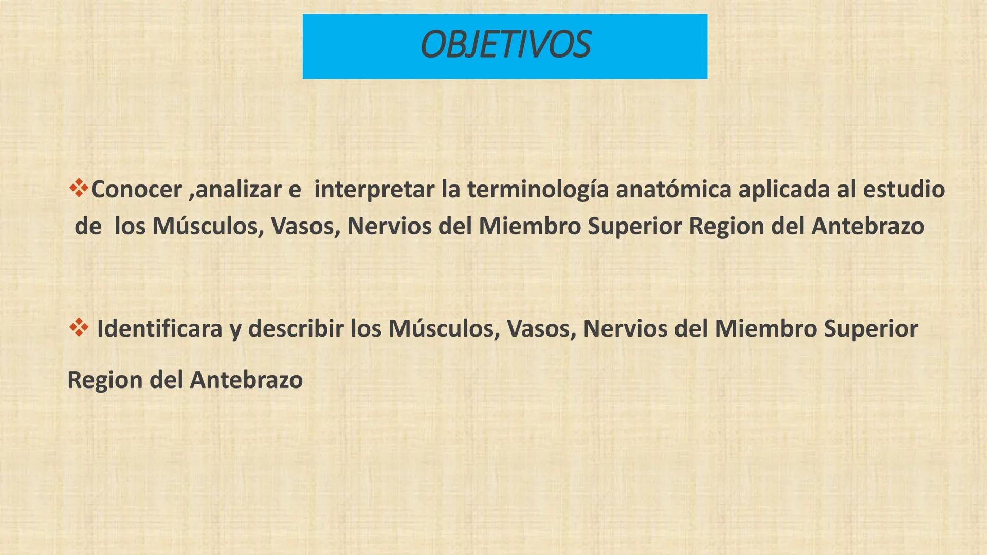 UCN
Universided Central de Nicaragua
Músculos
Miembro Superior
Antebrazo
Dr. Orsini Flores Monterrey
Ortopedia - Traumatología # OBJETIVOS