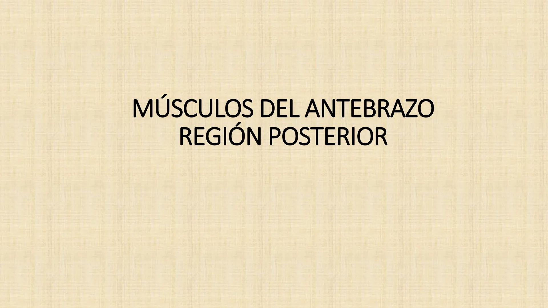 UCN
Universided Central de Nicaragua
Músculos
Miembro Superior
Antebrazo
Dr. Orsini Flores Monterrey
Ortopedia - Traumatología # OBJETIVOS