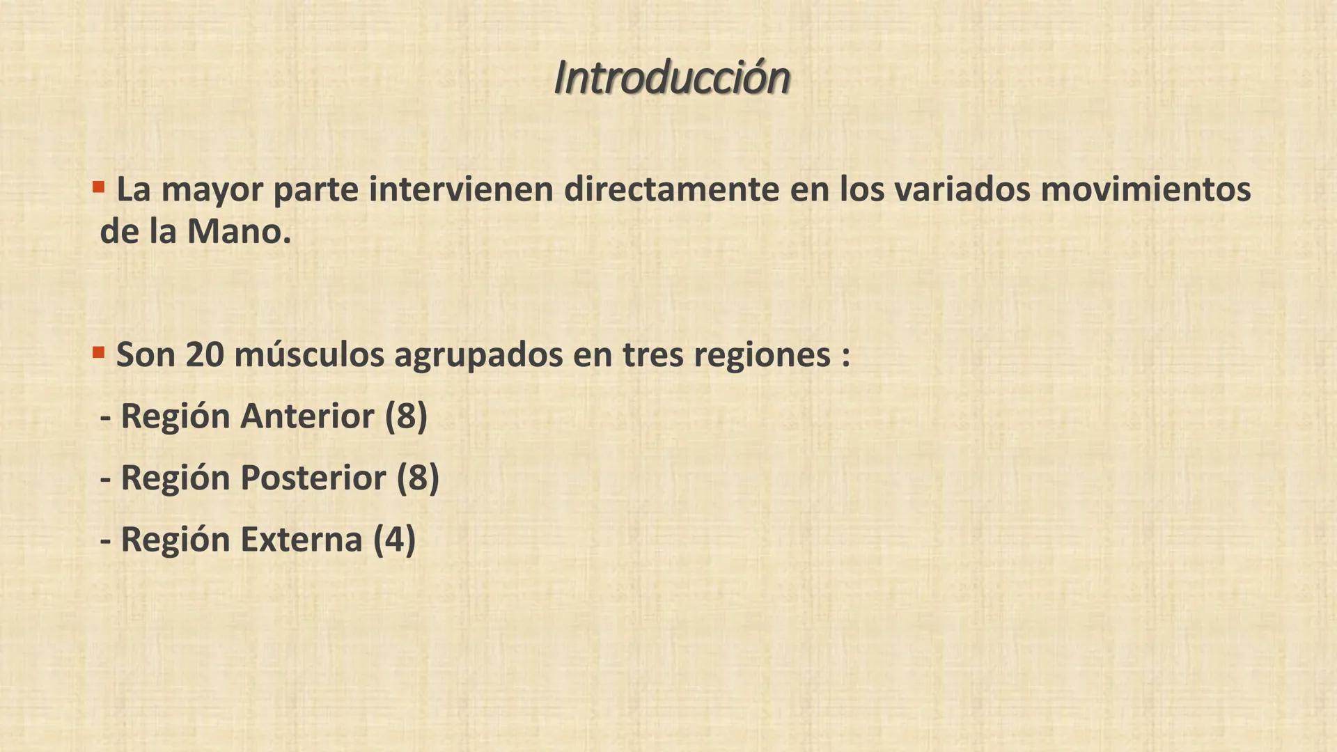 UCN
Universided Central de Nicaragua
Músculos
Miembro Superior
Antebrazo
Dr. Orsini Flores Monterrey
Ortopedia - Traumatología # OBJETIVOS
