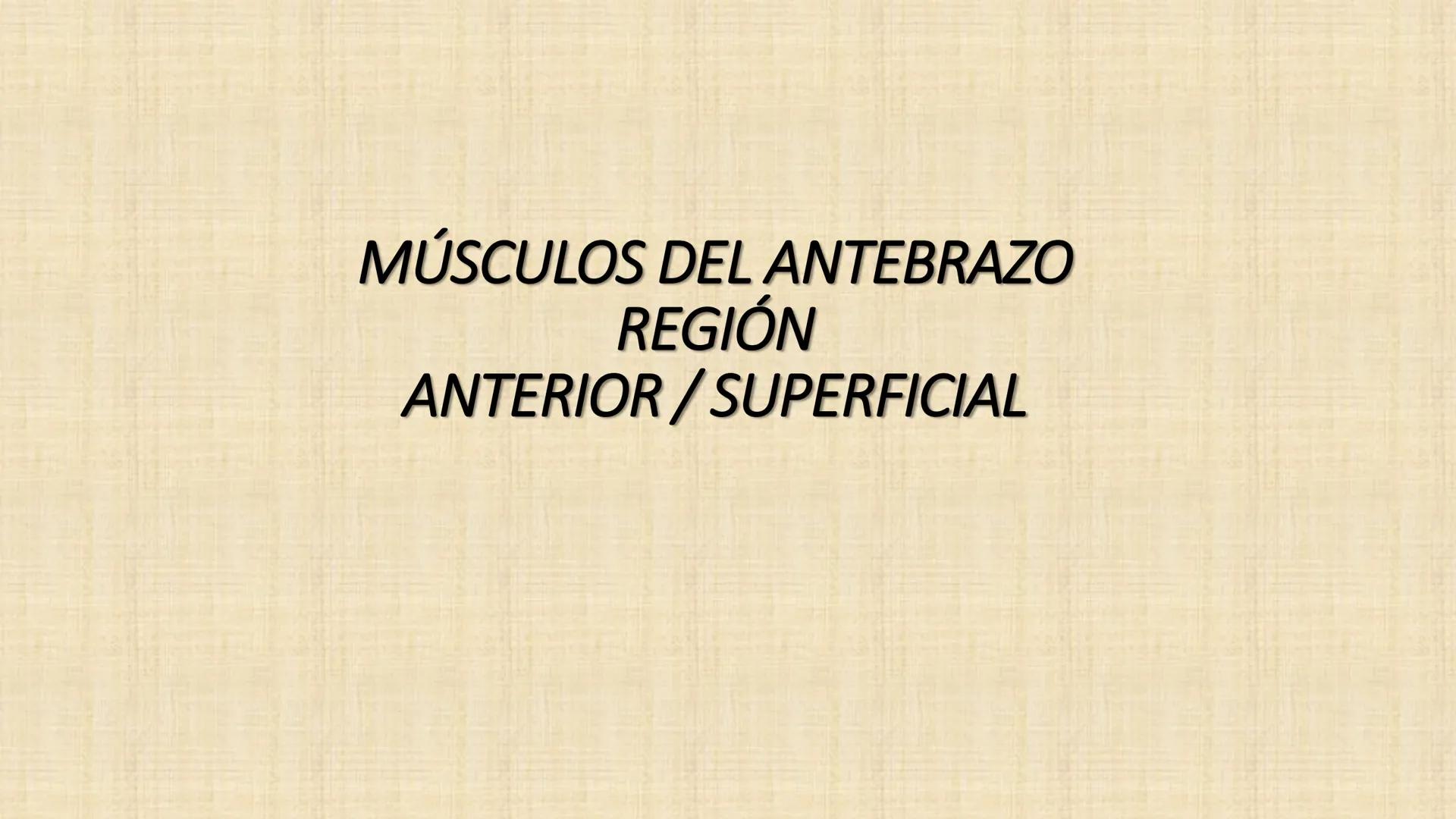 UCN
Universided Central de Nicaragua
Músculos
Miembro Superior
Antebrazo
Dr. Orsini Flores Monterrey
Ortopedia - Traumatología # OBJETIVOS