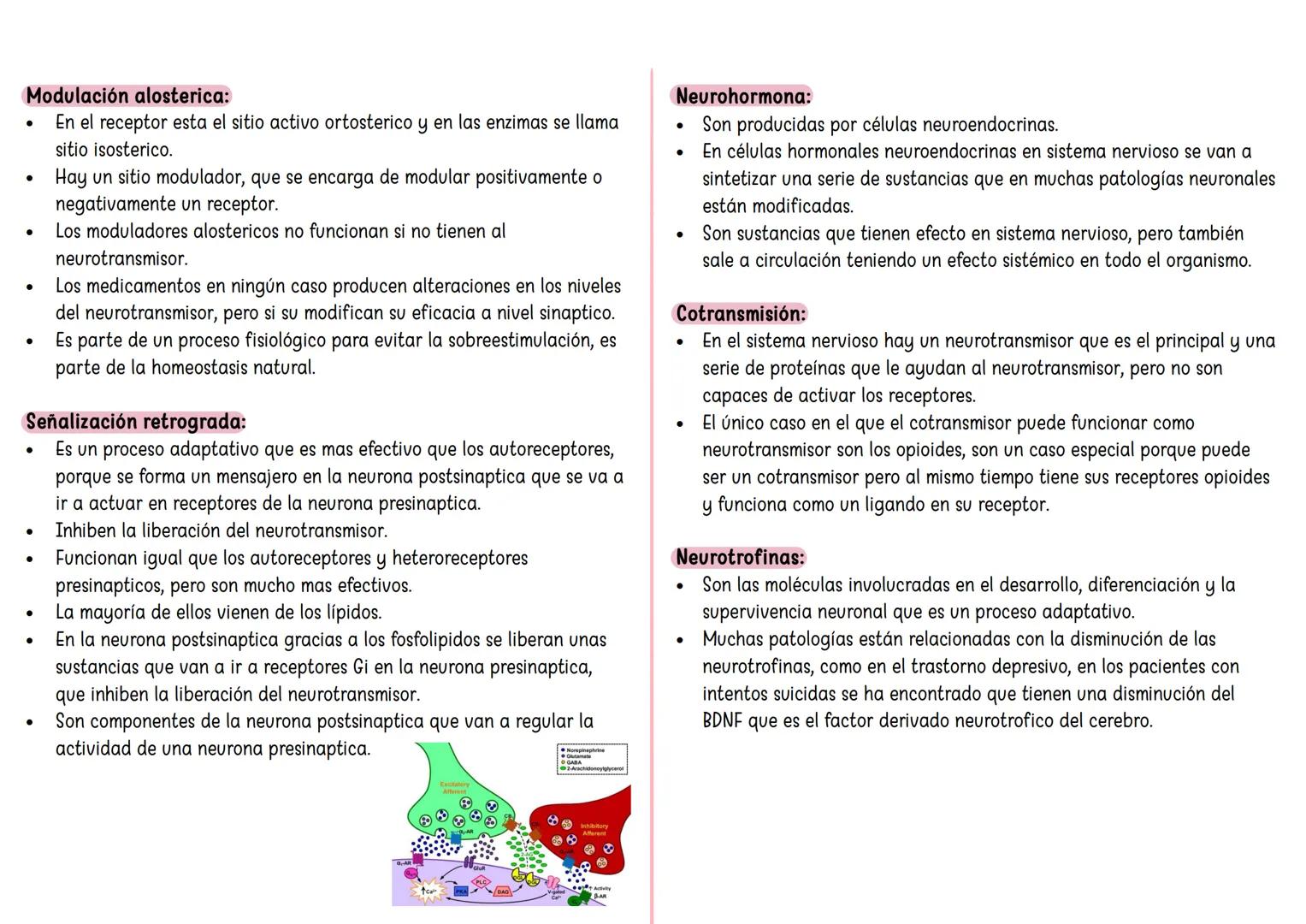 FARMACO TANDA 4 ## Sinapsis eléctrica:
* Hay una serie de proteínas que van a conectar las neuronas presinaptica con postsinaptica y recibe