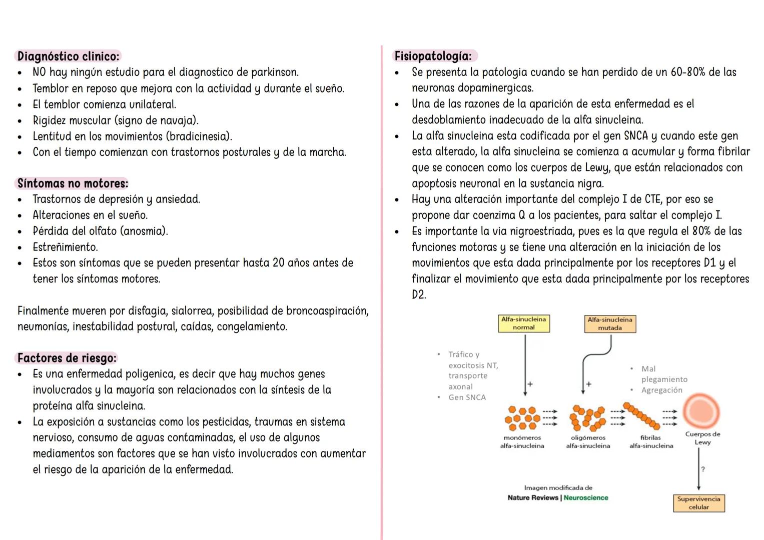 FARMACO TANDA 4 ## Sinapsis eléctrica:
* Hay una serie de proteínas que van a conectar las neuronas presinaptica con postsinaptica y recibe