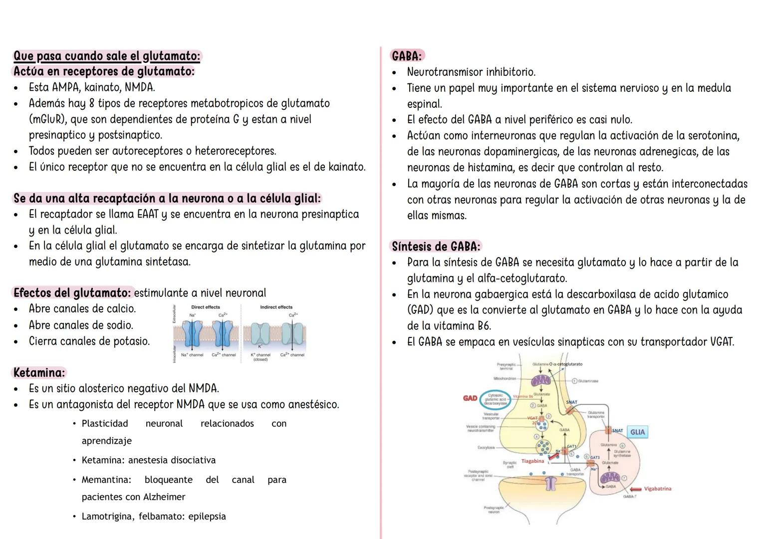 FARMACO TANDA 4 ## Sinapsis eléctrica:
* Hay una serie de proteínas que van a conectar las neuronas presinaptica con postsinaptica y recibe
