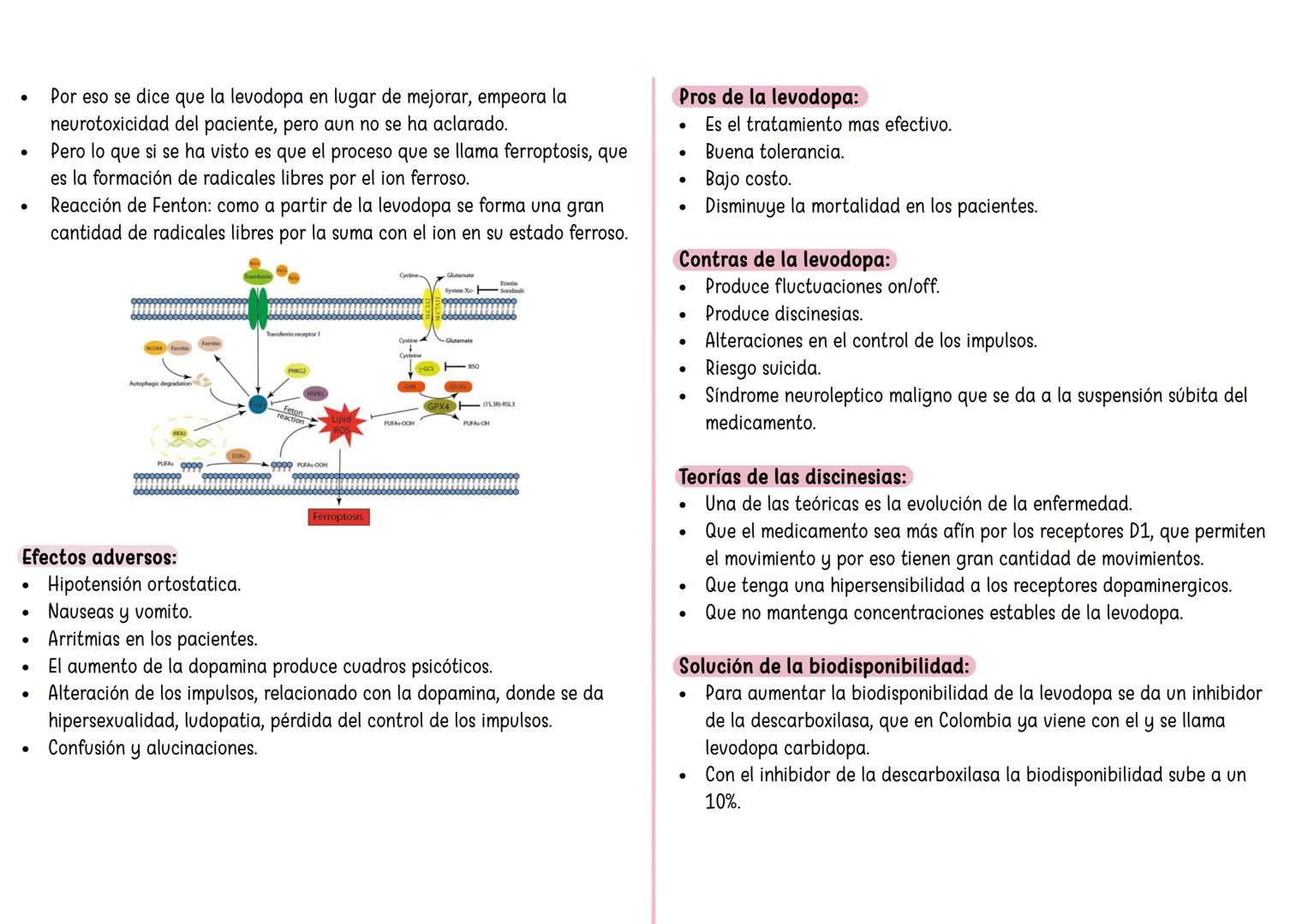 FARMACO TANDA 4 ## Sinapsis eléctrica:
* Hay una serie de proteínas que van a conectar las neuronas presinaptica con postsinaptica y recibe