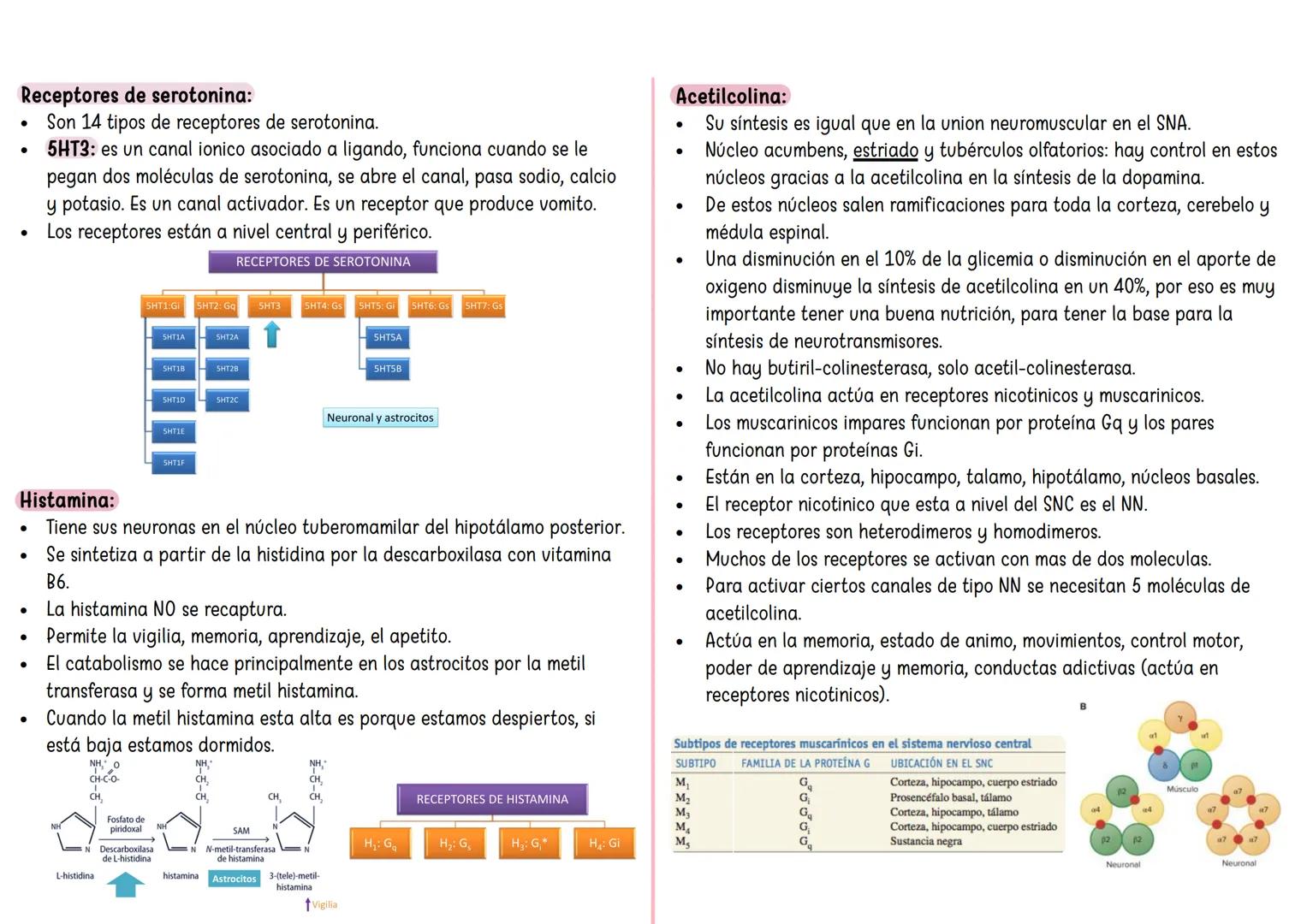 FARMACO TANDA 4 ## Sinapsis eléctrica:
* Hay una serie de proteínas que van a conectar las neuronas presinaptica con postsinaptica y recibe