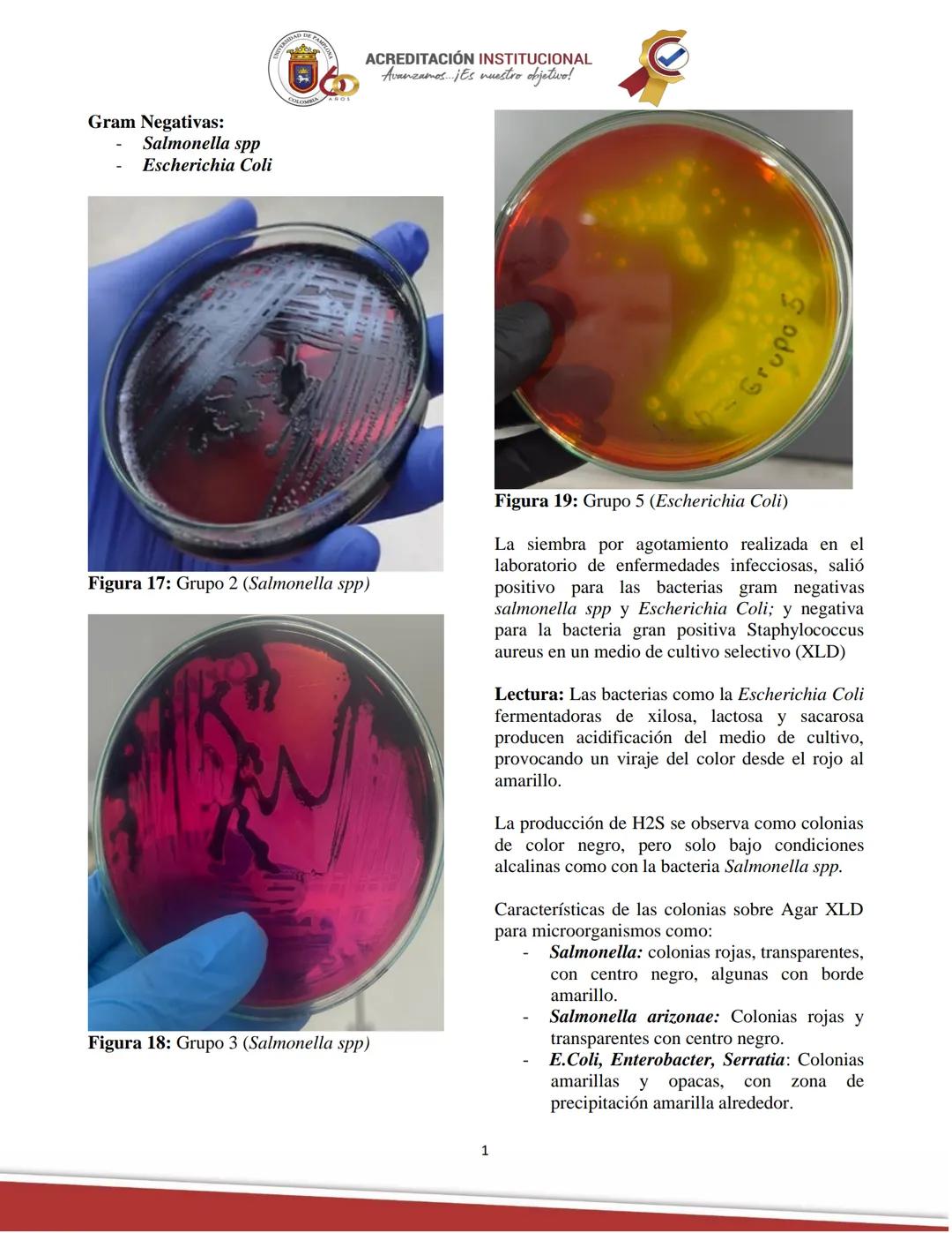 ACREDITACIÓN INSTITUCIONAL
Avanzamos... ¡Es nuestro objetivo!
Universidad De Pamplona
Facultad de Ciencias Agrarias
Departamento de Medicin
