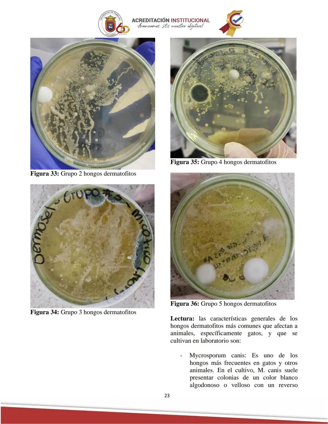 ACREDITACIÓN INSTITUCIONAL
Avanzamos... ¡Es nuestro objetivo!
Universidad De Pamplona
Facultad de Ciencias Agrarias
Departamento de Medicin