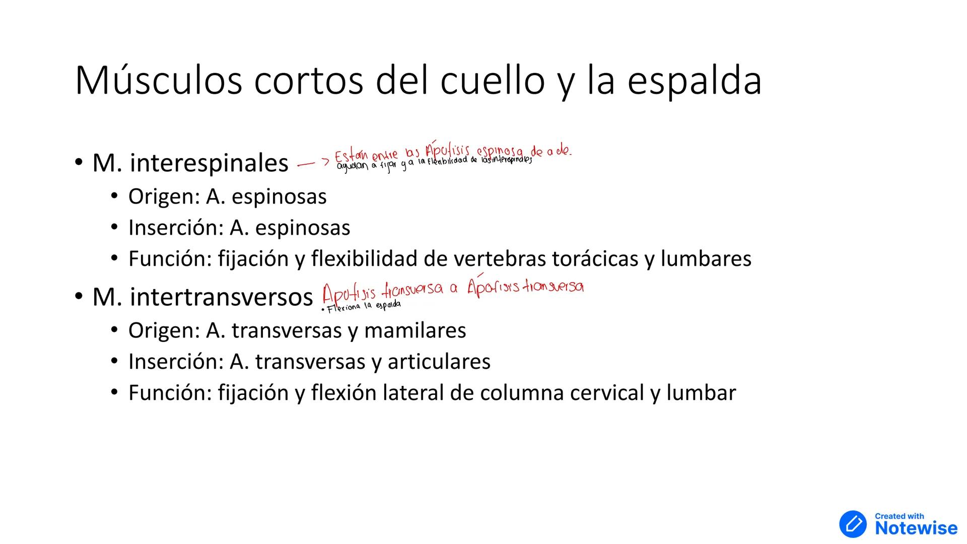 # Músculos del cuello y tórax
Created with
Notewise # Fascia
- Tejido conectivo que separa distintos órganos --- OCR Start ---
Múscu