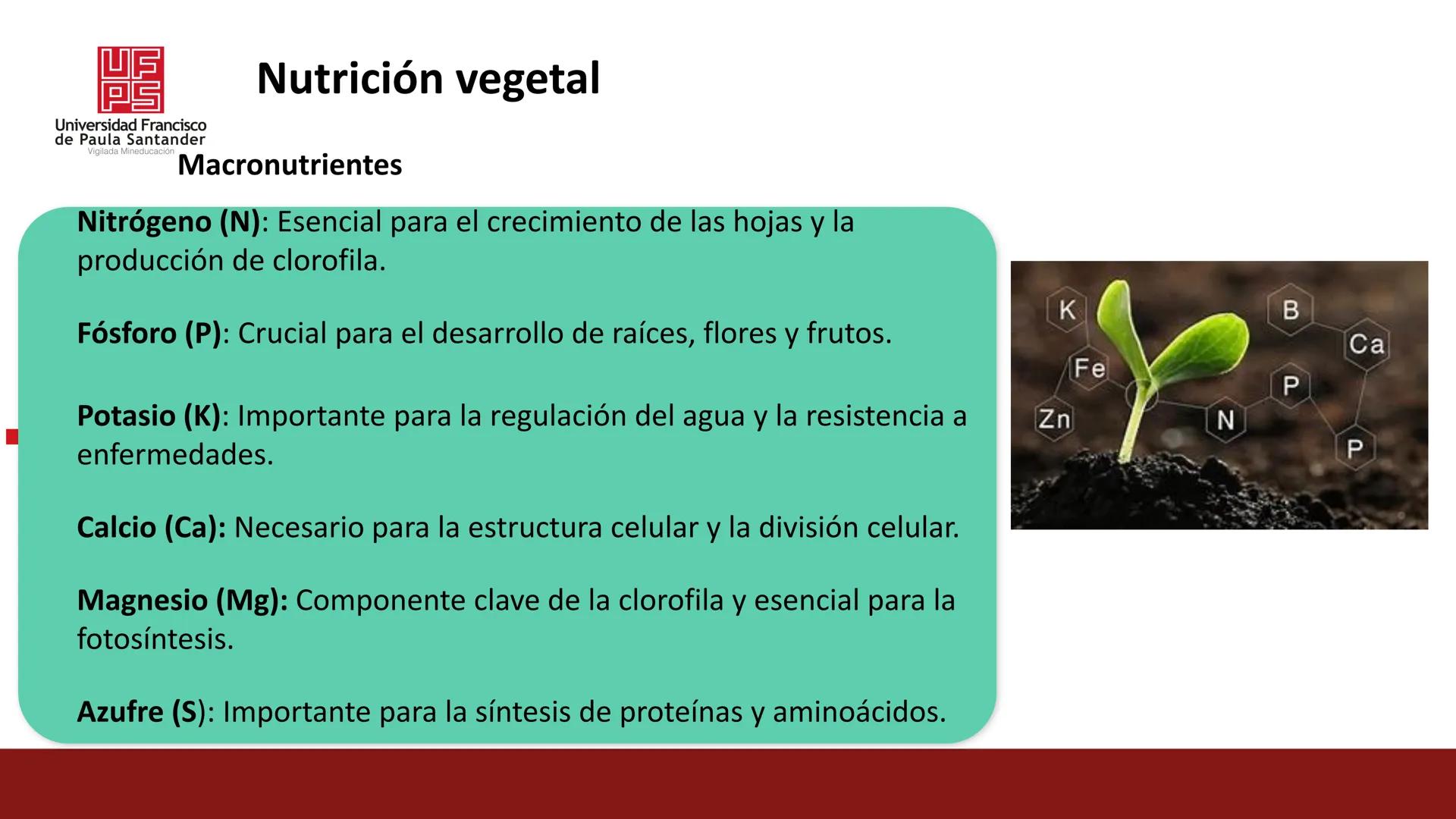 # UF
# PS
Universidad Francisco
de Paula Santander
Vigilada Mineducación
# Universidad Francisco de Paula Santander
## Ingeniería Agronómica